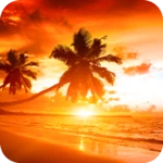 sunset wallpapers 4k android application logo